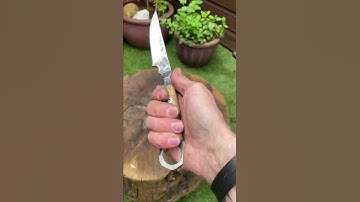 Fighting knife forged from a 5160 coil spring. Olive wood scales, easy to handle and manipulate.