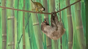 Best Fails of The Week  Funniest Fails Compilation  Funny Video Part 19 2