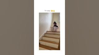 funny video of kid saying I'm OKAY 😂😂 #shorts