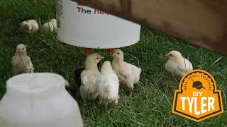 i'm done, becoming a Chicken Farmer | 15$ DIY Hanging Water Bucket. Portable Chicken Watering Bucket by DIYTyler 3,987 views 7 months ago 6 minutes, 5 seconds
