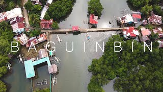 B A G U I N B I N || Palompon Leyte