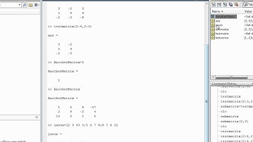 Matlab Sect 20 Inputting Matrices and Extracting Elements Part 2