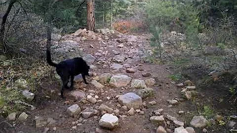 April 23, 2017 - Rip and I beginning hike up Newli...