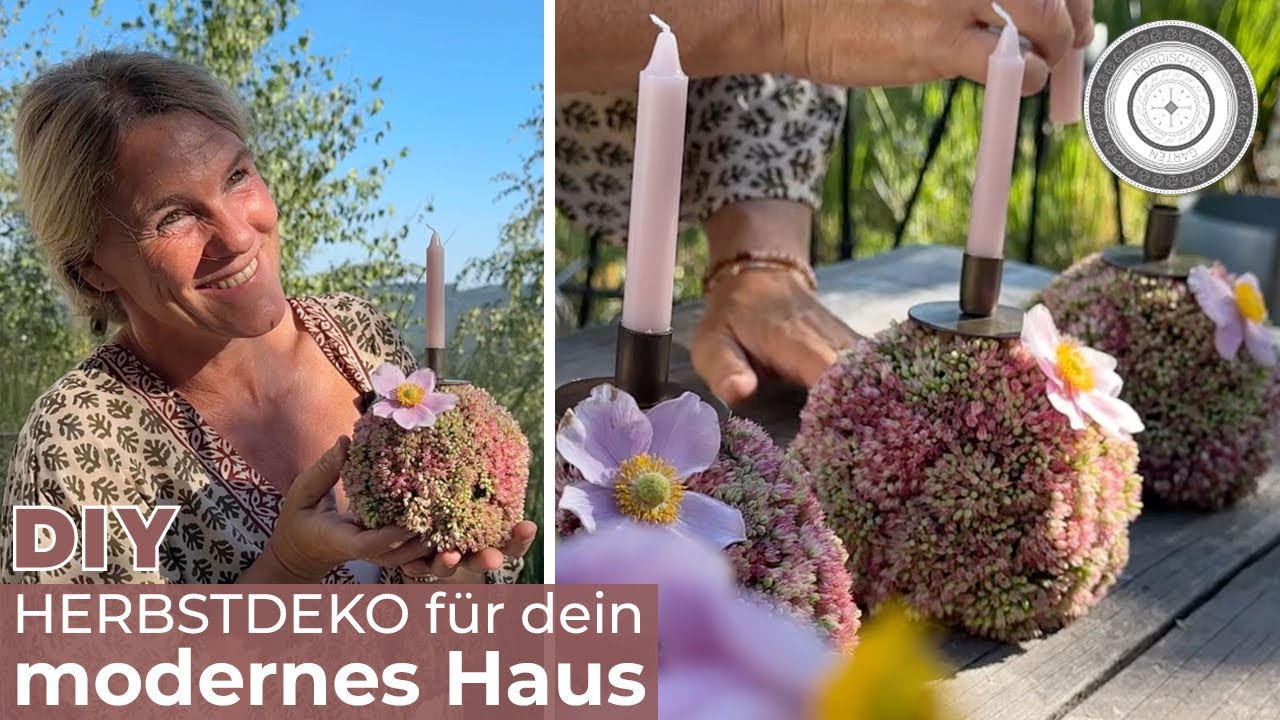 DIY - die ABSOLUT coolste HERBSTDEKO - Sedumkugeln als Kerzenständer, für DEIN MODERNES ZUHAUSE 👌