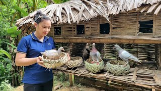 How to Make a Pigeon Nest - Build a Garden on a Mountain - Sow Sesame Seeds