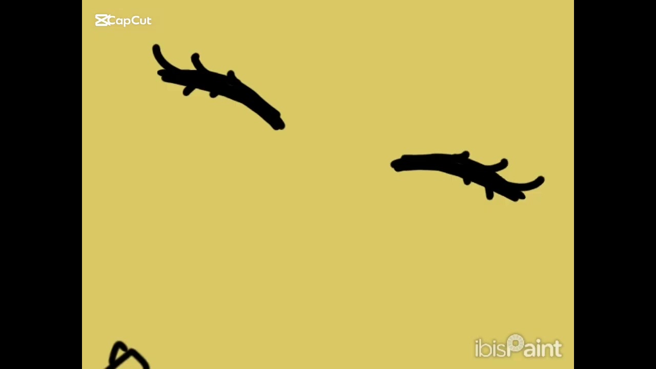 Algun día magicmadness