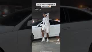 Tyla - water challenge (Afro remix) official dance tutorials by official lhorray. Resimi