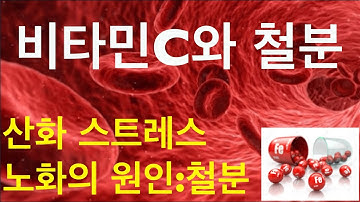 비타민C & 철분: 같이 드실때와 같이 드시면 안될 때 (기능의학, 영양의학, 예방의학)