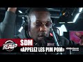 Sdm appelez les pimpom planterap