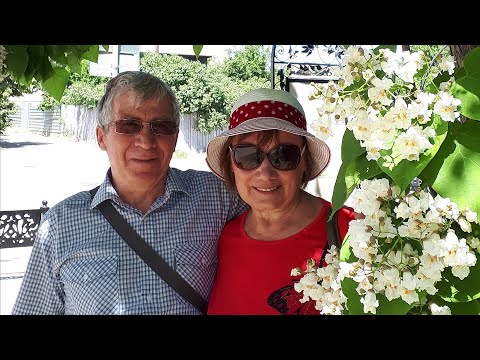 Камышин. Что посмотреть в Камышине? Набережная Волги. Красавица катальпа. Памятник арбузу ч.1