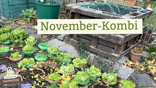 Gartenarbeiten & Rundgang im November
