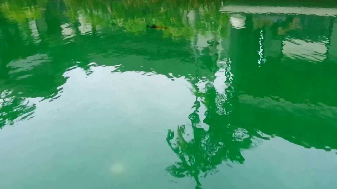 1/144 RC Submarine Kilo Class