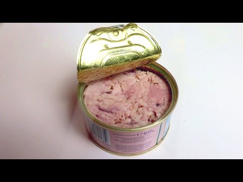 Mit einer Thunfischdose eine warme Mahlzeit machen. Die Musik wurde unter www.gemafreie-musik-online. 