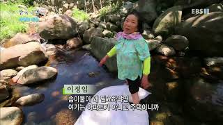 한국기행 - Korea travel_바람의 계곡 1부 집으로 가는 길_#001