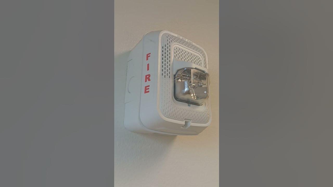 System Sensor SPSWL L Series Fire Alarm YouTube