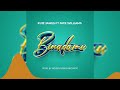 Binadamu VISUVLIZER Official Audio