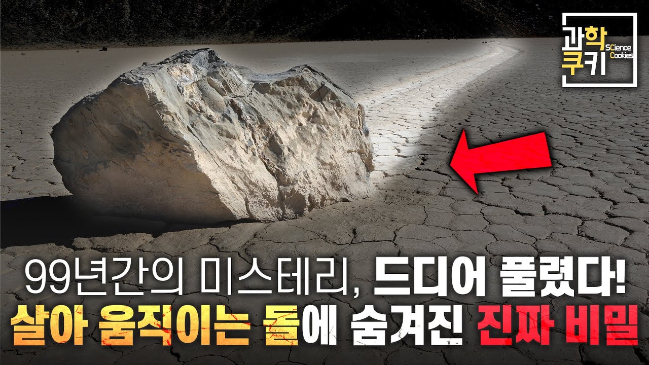 과학자들조차 99년간 풀지 못했던 문제가 밝혀지다! | 과학쿠키 다큐 단편