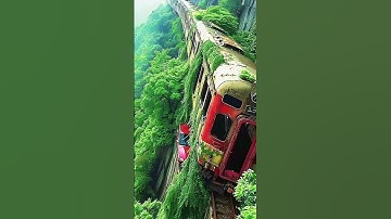 Ai Nature Exploration | Scenery | Train and Amazon Python  #NatureExploration #wildlifedocumentary