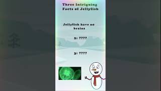 Three Intriguing Facts Of Jellyfish
