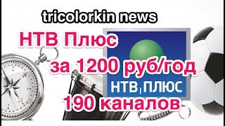 НТВ Плюс, 1200 рублей в год. Дешевле Триколора! НТВ Плюс, 1200 рублей в год. Дешевле Триколора!