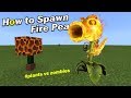 How To Spawn FIRE PEA | Minecraft PE vs PLANTS vs ZOMBIES