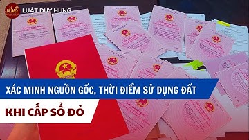 Thủ Tục Xác Minh Nguồn Gốc, Thời Điểm Sử Dụng Đất Khi Cấp Sổ Đỏ | Luật Duy Hưng