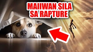 Nakakalungkot na kapalaran ng mga alagang hayop sa rapture