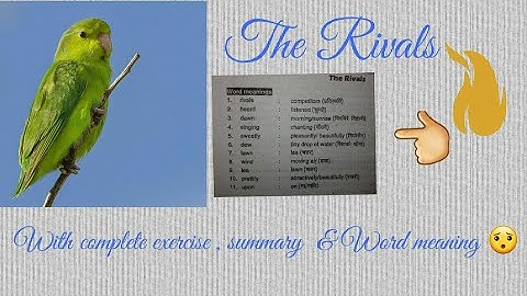 Class 9 English The Rivals exercise ,summary & word meaning