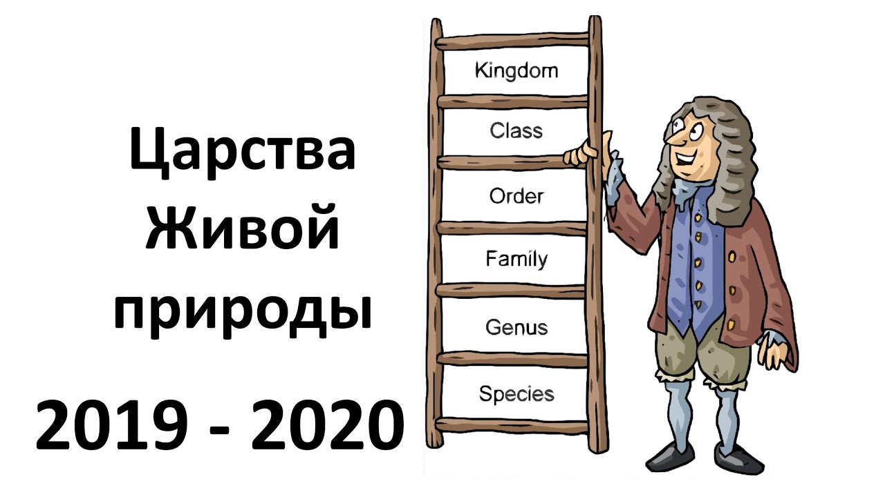 7. Царства живого (5 класс) - введение в Биологию