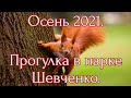 Осень 2021 / Парк Шевченко / Прогулка в парке / Кормим белочку / #одесса #паркшевченко #осень2021