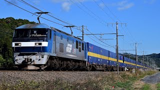 東海道本線2059レ EF210-168+コキ20両 大垣〜関ヶ原