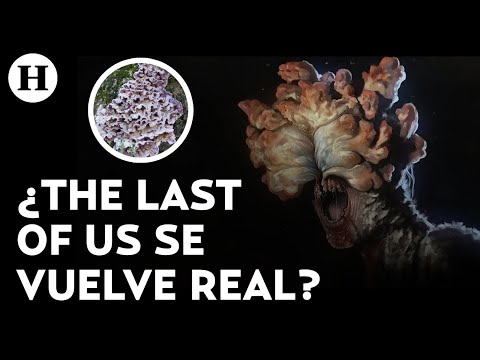 Video: Enfermedades de las plantas y humanos - ¿Los virus de las plantas enferman a las personas?