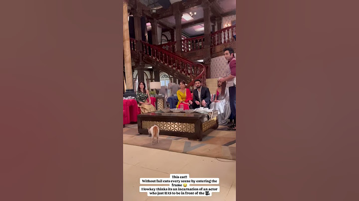 A Cat Enters While Shooting On Sets Bhagya Lakshmi 😮💥💥 #bts #shorts #bhagyalakshmi