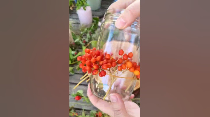 DIY- Herbst Deko Windlicht: einfaches Gurken Glas Upcycling mit Beeren von Viburnum, Jute und Kerze