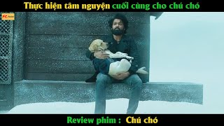 Thực Hiện Tâm Nguyện Cuối Cùng Cho Chú Chó - Review Phim Chú Chó