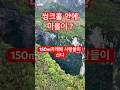 숨겨진 씽크홀 마을