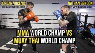 MMA World Champion Sparring With Muay Thai World Champion - Jordan Vucenic - Nathan Bendon