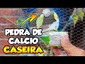 como fazer PEDRA DE CÁLCIO para  AVES *faça você também*