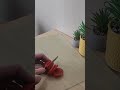 You can buy your tomato knife here: The Kitchen Shop https://share.google/z7N2EE1RuUJslI6tI #knife