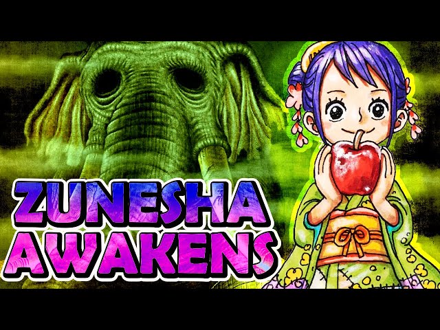 WHO / WHAT IS ZUNESHA  ONE PIECE THEORY & DISCUSSION 