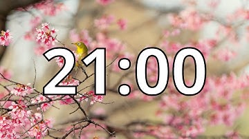21 Minutes Timer with Relaxing Music | Cherry Blossom Timer