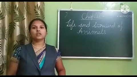 Dalauda Public School Class 4th science chapter 2 (Revision) video by Bindu Tiwari
