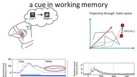 Dynamic population coding in prefrontal cortex