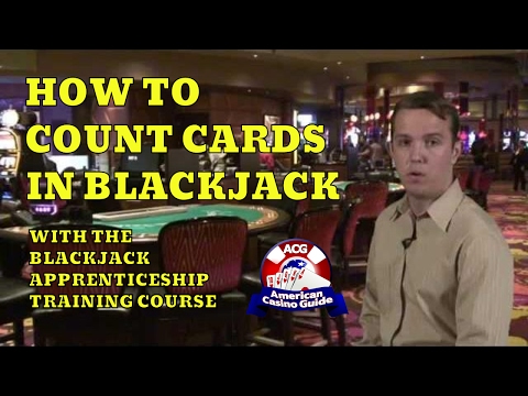 How To Count Cards with the Blackjack Apprenticeship Training Course