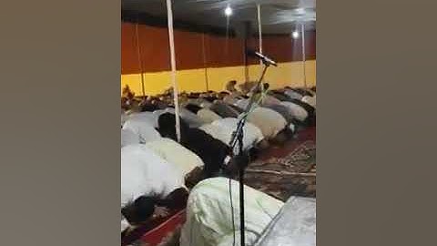 القارئ أيوب المساق