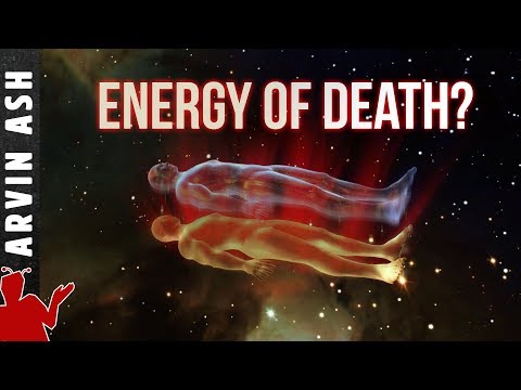 What happens to the energy in the human body when it dies?