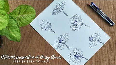 How to draw 6 different Daisy flower perspectives. Step by step tutorial for beginners.
