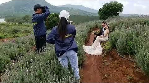 Đà Lạt chụp hình cưới ở đâu đẹp? | Chụp Ảnh Cưới Chuyên Nghiệp Tại HCM