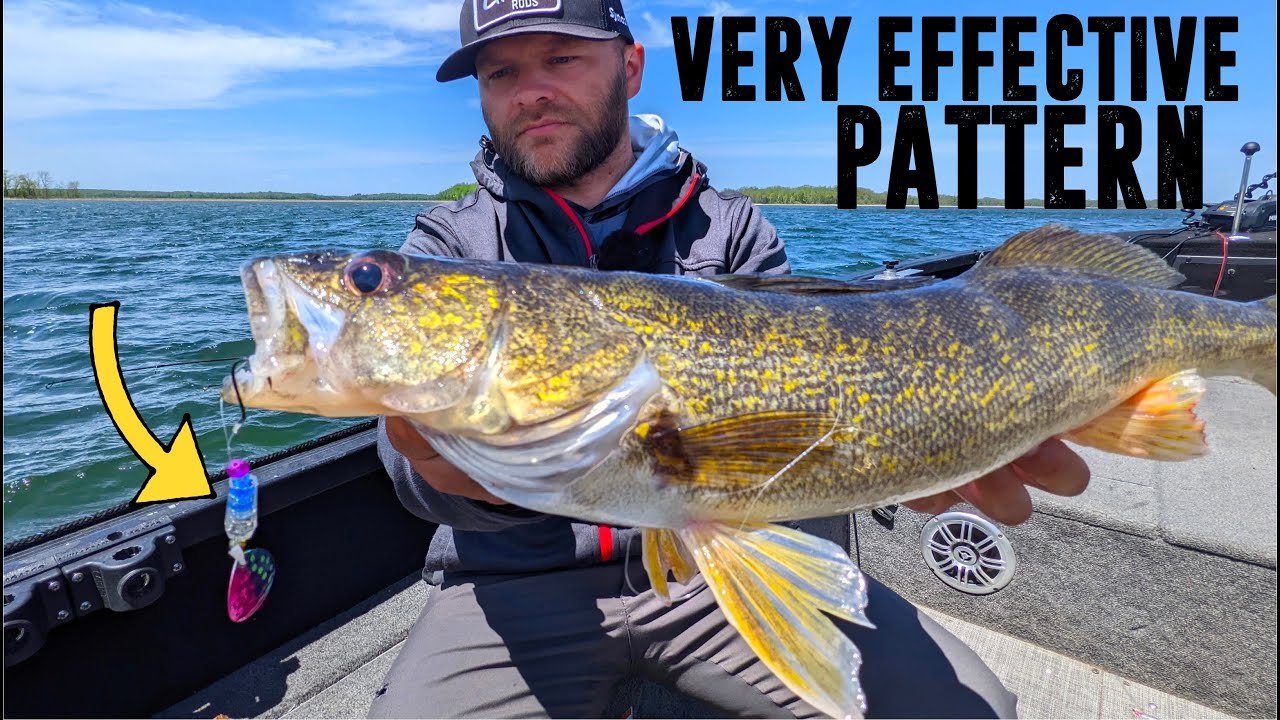 NEW Lure CRUSHES Early Summer Walleyes! 