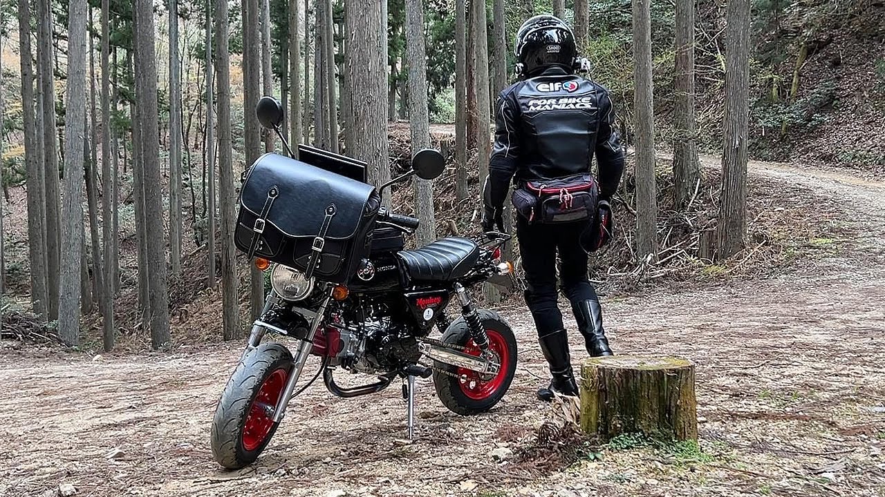 休日の林道でひとりコーヒータイム（モンキーバイクツーリング動画）